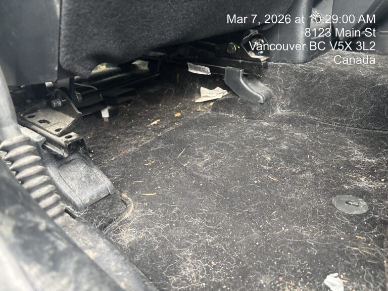 Pet Hair removal from steam tech auto spa