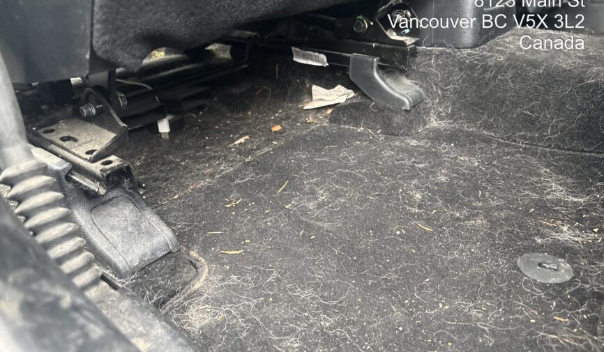 Pet Hair removal from steam tech auto spa