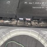 Pet Hair between the seats