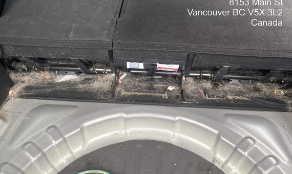 Pet Hair between the seats