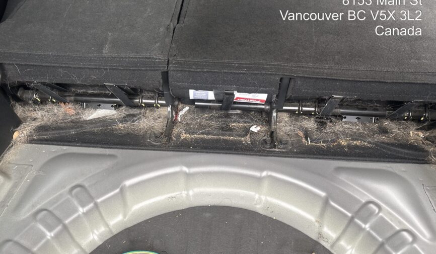 Pet Hair between the seats