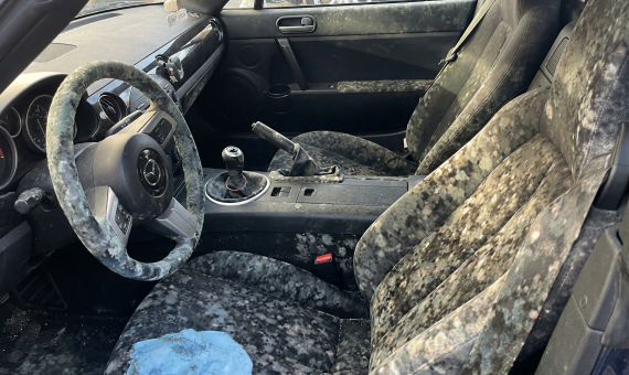 Gemini_Generated_Image_1551q31551q31551