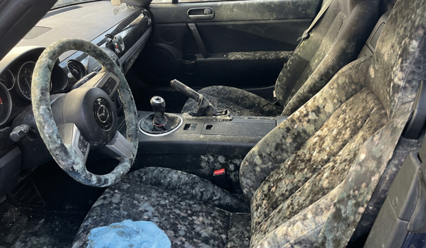 Gemini_Generated_Image_1551q31551q31551